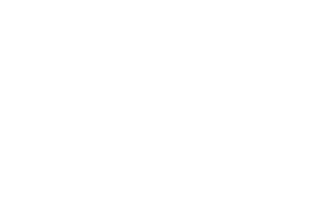 holthaus-technologies-sony-brand